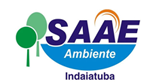 SAAE